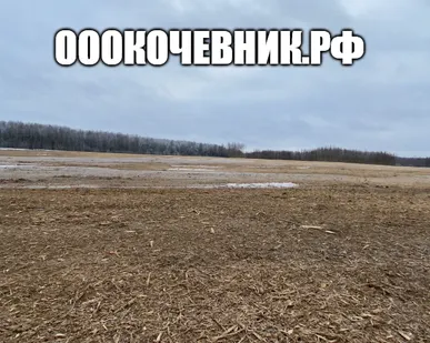 фото Расчистка территорий под масштабное строительство