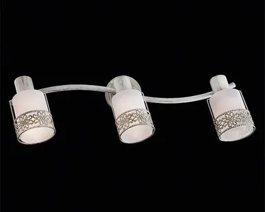 фото Спот 20025/3 белый с золотом