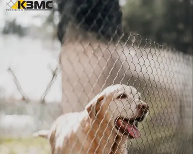 фото Сетка рабица Ø 3х(50х50) размер рулона 2,0х10 метра