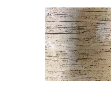 фото Сайдинг Кровля Сервис Брусnika Сосна лак-100 0,45 мм Printech