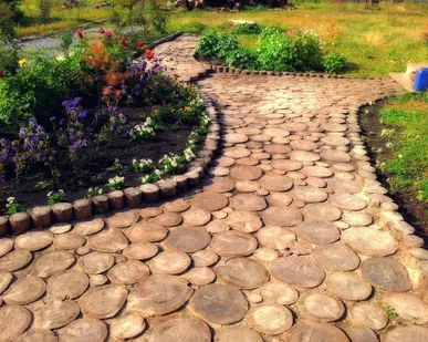 фото Спилы лиственницы