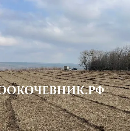 Фото №3 Расчистка территорий от деревьев, кустарников и корней