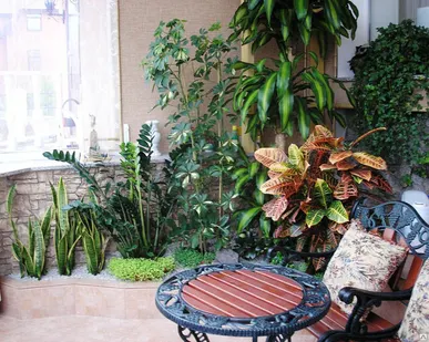 фото Фитодизайн интерьера офисов, квартир, салонов