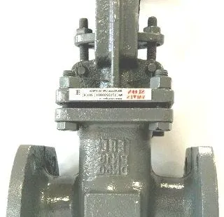 фото Задвижка клиновая SLONVALVES 30с41нж Ду150 Ру16 стальная