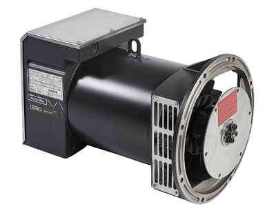 фото Mecc Alte ECP3-2L/4 (10,8 кВт)
