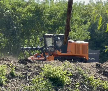 Фото №1 Гусеничный мульчер, расчистка от деревьев