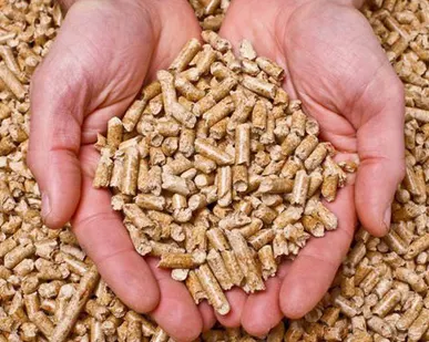 фото Пеллеты от производителя