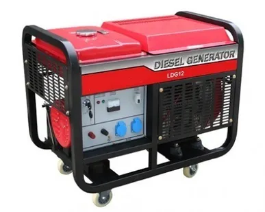 фото Дизельный генератор LEEGA LDG12