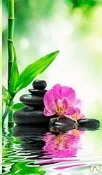 фото Эко-фрески однополотные F7158 (Орхидея)