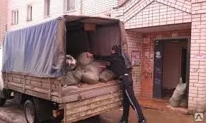фото Вывоз мусора