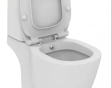 фото Чаша напольного унитаза с функцией биде Ideal Standard Connect E781801 Idea
