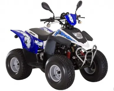 фото Квадроцикл STELS Atv 50c