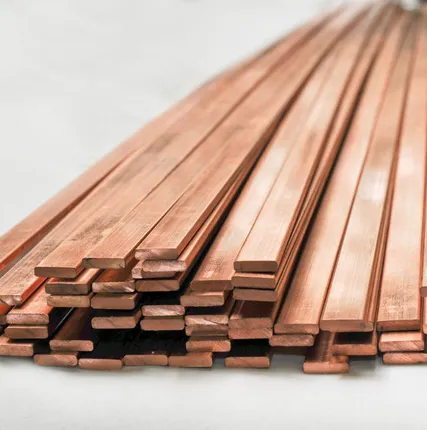 Фото №0 Шина бронзовая БрБ2м