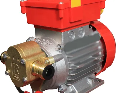 фото Шестеренный насос Rover pompe MARINA 12V NOVAX G20 (топливо, гсм, нефтепродукты, масла, отработка)