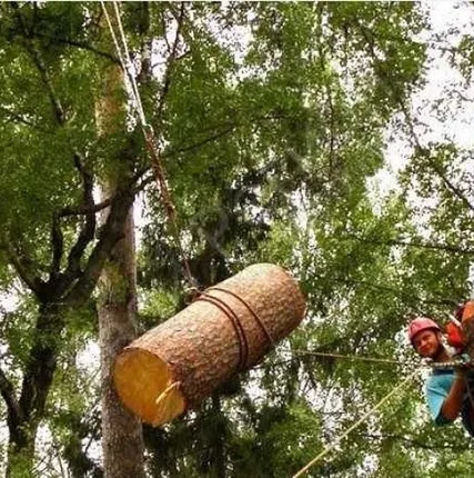 Фото №0 Срезка деревьев