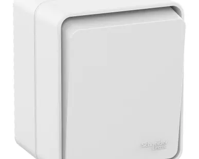 фото Выключатель 1-кл. ОП AtlasDesign Profi54 IP54 10AX бел. SchE ATN540111