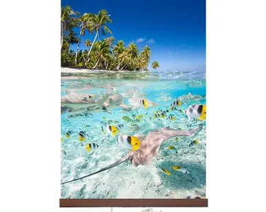 фото Инфракрасный плёночный