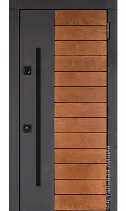 Фото №0 Входная дверь Сага SAGA.M82M.1