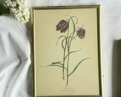 фото Литография Elsa M.Felsk 19х25 см под стеклом