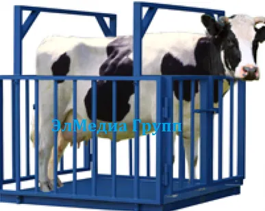 фото Весы для взвешивания животных