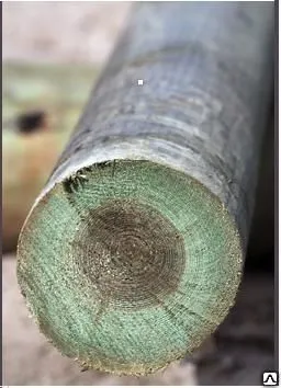 Фото №0 Опоры ЛЭП деревянные пропитанные
в