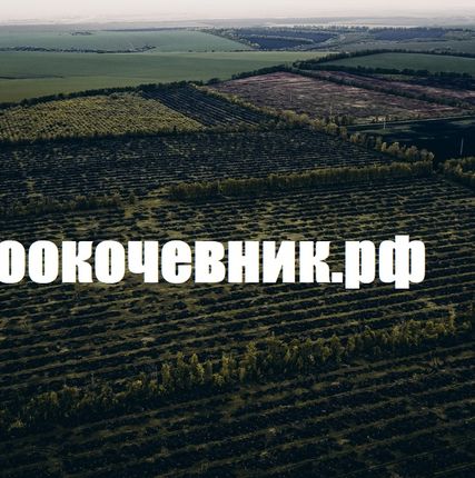Фото №2 Корчевание пней, деревьев, лесополос, садов