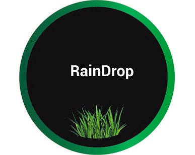 фото Гидрогель для гидропосева RainDrop