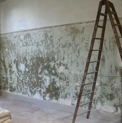 Фото №0 Зачистка стен от масляных красок