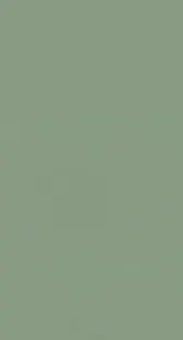 фото Керамическая плитка Creto Плитка Ekzotic olive 30х90