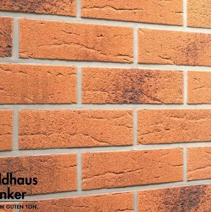Фото №0 Клинкерная плитка Feldhaus R228NF9