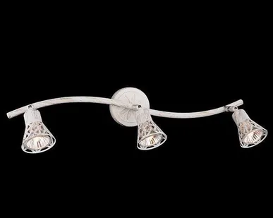 фото Спот 20027/3 белый с золотом