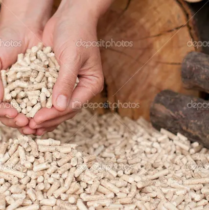 Фото №0 Пеллеты хвоя 8мм