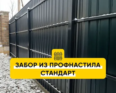 фото Забор из профнастила Стандарт RAL 8017, 8019, 7024, 6005, 3005, 7004, 9003, 9005