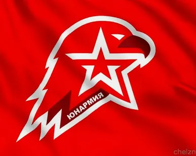 фото Флаг Юнармия [40х60 см. из ткани Таффета]