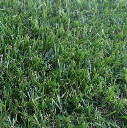 Фото №0 Искусственная трава ДЕКО 20 (Ворс 20 мм)