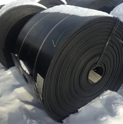 Фото №0 Лента конвейерная общего назначения 2.1-800-6-ТК-200-2-3-1-РБ