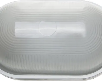 фото Светильник уличный СВЕТОЗАР влагозащищенный, овал, цвет белый, 100Вт