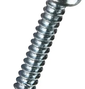 фото Саморез с полукруглой головкой 4,8х25 DIN7981