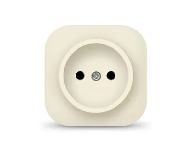 фото Розетка 1-м ОП 10А IP20 без заземл. сл. кость IONICH 1431