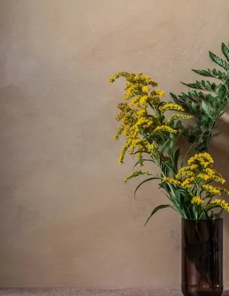 Фото №0 Декоративная штукатурка Велато Лайт