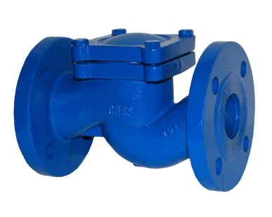 фото Клапан обратный Гранлок серии RD16, 290х190х210, DN65