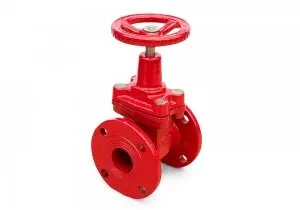 фото Задвижка Ci 30ч39р (Г) с обрезиненным клином 80