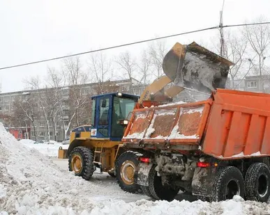 фото Предоставим услуги по уборке снега (10 тонн)