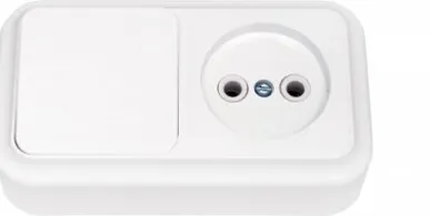 фото Блок О/У Выключатель 1-кл + розетка Пралеска Bylectrica В-РЦ-521