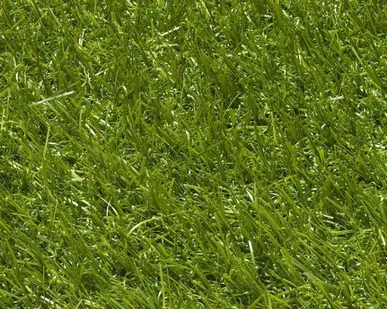 фото Искусственная трава Кондор Гринлайф, высота 18мм ширина 4м рулоном.