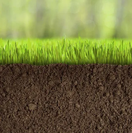 Фото №0 Доставка плодородного грунта