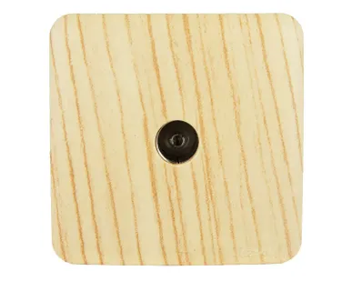 фото Розетка TV 1-м ОП VIOLA оконечная беленый дуб LEZARD 751-5200-130