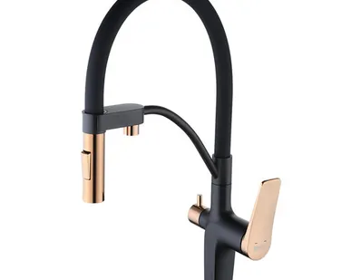 фото Смеситель Lemark Bronx LM3761BLR для кухни с подключением к фильтру с питьевой водой