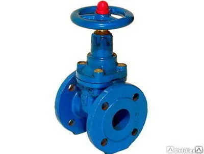 Фото №0 Затвор ДУ -100 6