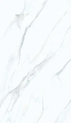 Фото №0 60*120 P176496 Narnia